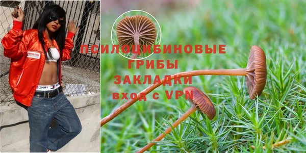 соль курить ск Инта