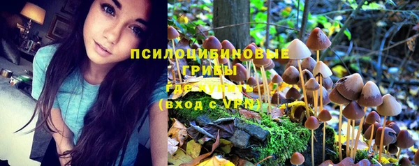 героин Инсар